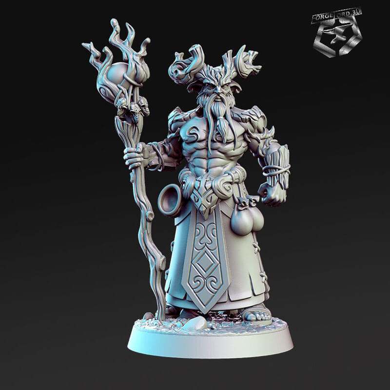 Aerlin-RN-Estudio-inside-the-magic-forest-collection-figurines-fantasy-tabletop-RPG-3D-miniatures