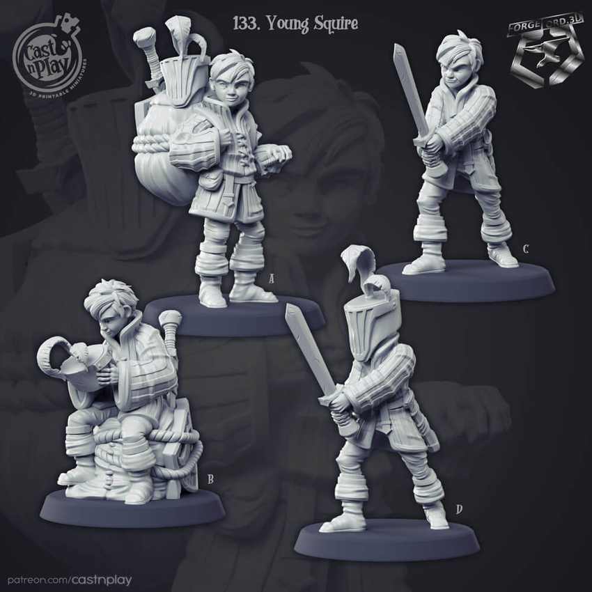 Young-Squire-CastNPlay-figurines-fantasy-tabletop-RPG-3D-miniatures