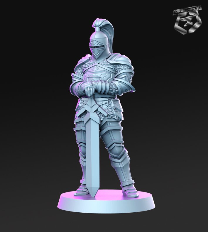 Aaron-RN-Estudio-the-royal-guard-collection-figurines-fantasy-tabletop-RPG-3D-miniatures