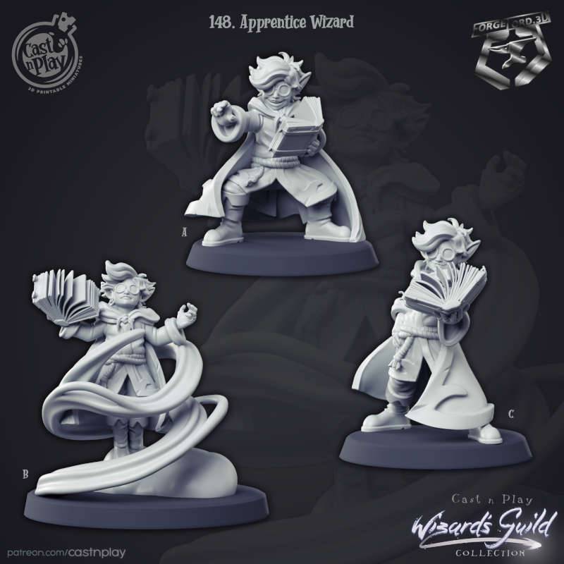 Apprentice-Wizard-3D-MINIATURES-CASTNPLAY- FANTASY-FIGURINE-WIZARD-GUILD-COLLECTION