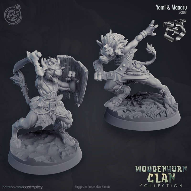 Yami-&-Maadru-CastNPlay-woodenhorn-clan-Collection-fantasy-miniatures-tabletop-RPG-hero