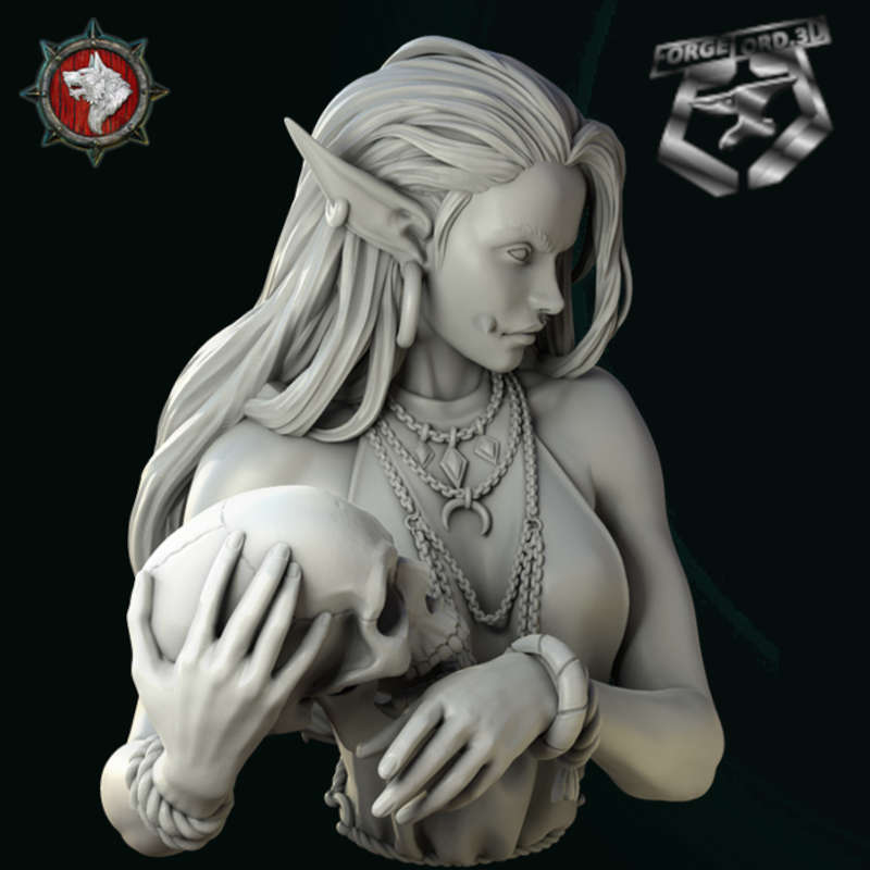 Laedria-the-necromancer-bust-75mm-figurines-fantasy-tabletop-RPG-3D-miniatures-white-werewolf-tavern