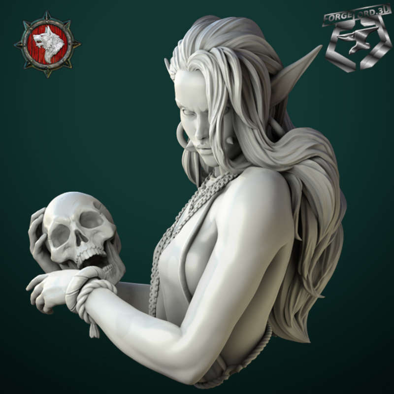 Laedria-the-necromancer-bust-75mm-figurines-fantasy-tabletop-RPG-3D-miniatures-white-werewolf-tavern-2