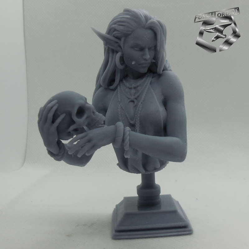 Laedria-the-necromancer-bust-75mm-figurines-fantasy-tabletop-RPG-3D-miniatures-white-werewolf-tavern-4