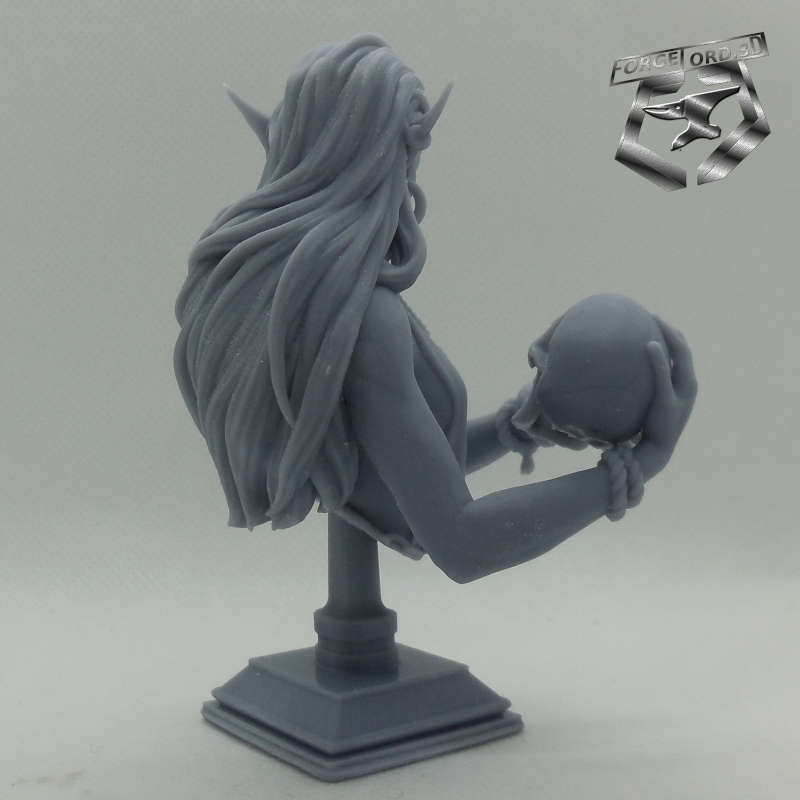 Laedria-the-necromancer-bust-75mm-figurines-fantasy-tabletop-RPG-3D-miniatures-white-werewolf-tavern-5
