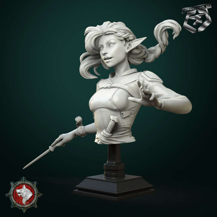 Vaelia-Arra-sorcerer-bust-75mm-figurines-fantasy-tabletop-RPG-3D-miniatures-white-werewolf-tavern