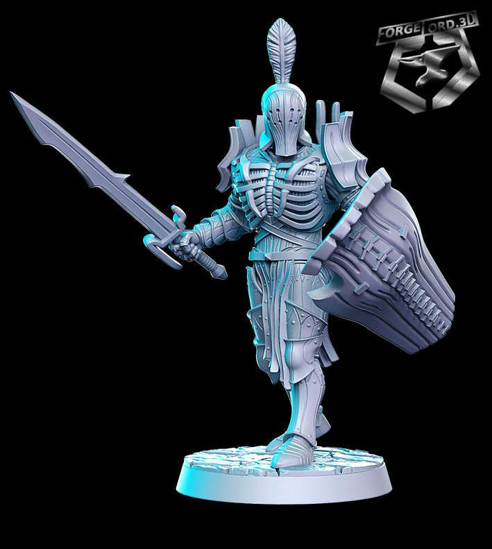 Amladril-with-sword-and-shield-RN-Estudio--figurines-fantasy-tabletop-RPG-3D-miniatures