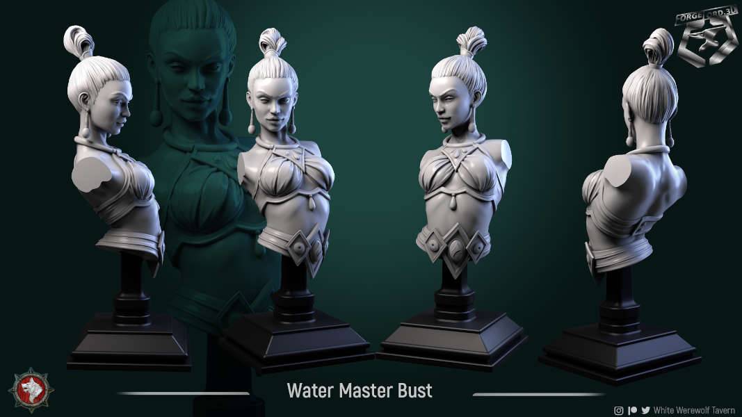 Water-Master-bust-75mm-figurines-fantasy-tabletop-RPG-3D-miniatures-white-werewolf-tavern