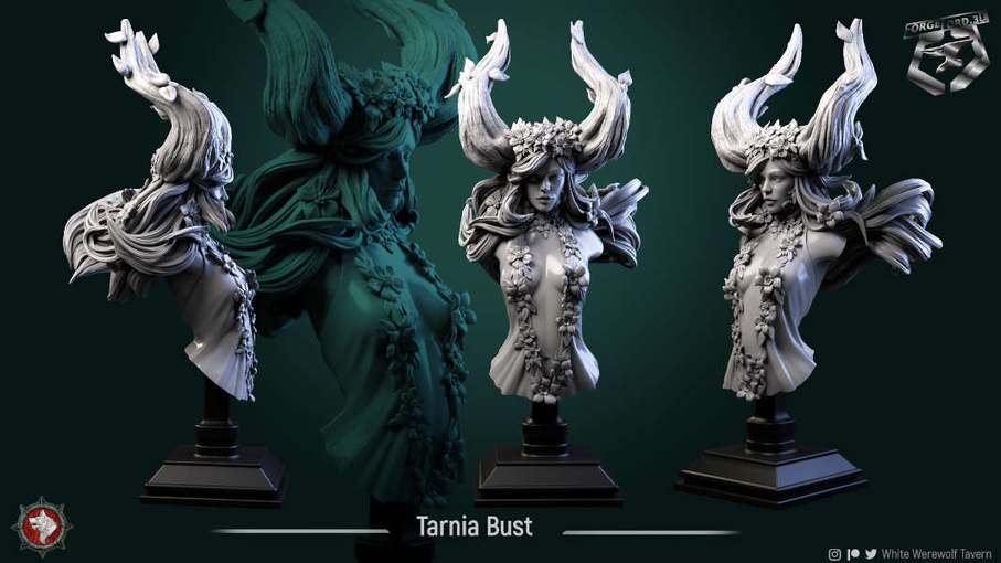 Tarnia-bust-75mm-figurines-fantasy-tabletop-RPG-3D-miniatures-white-werewolf-tavern