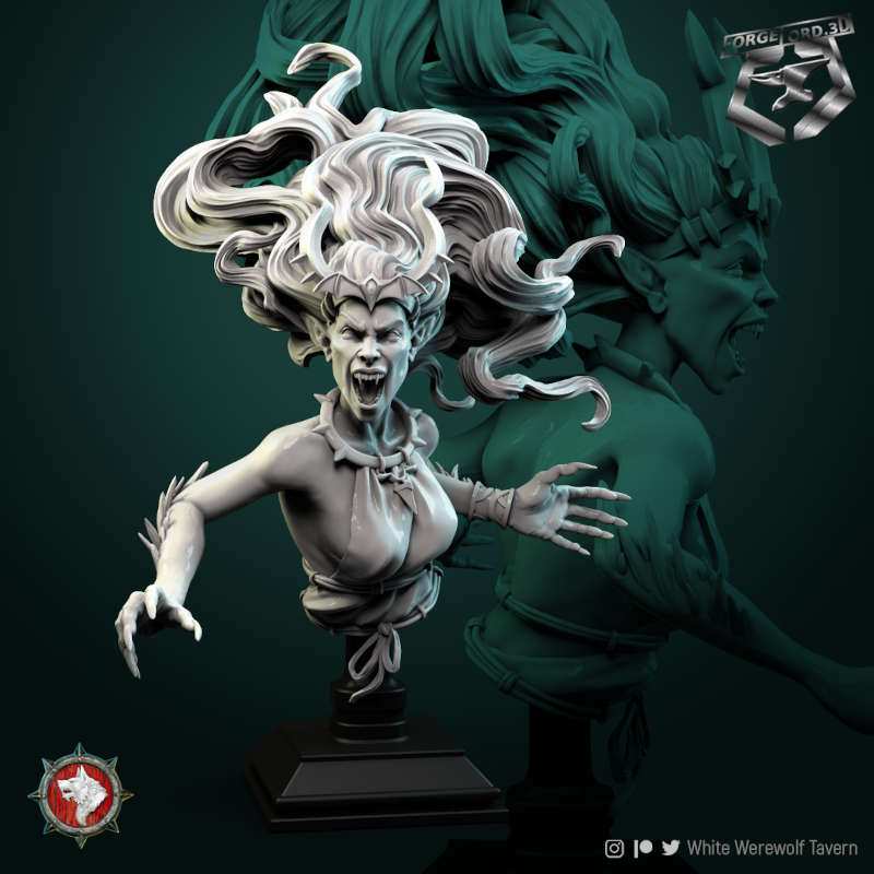 gallarta-bust-75mm-figurines-fantasy-tabletop-RPG-3D-miniatures-white-werewolf-tavern