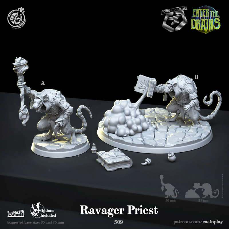 Ravager-Priest-CastNPlay-enter-the-drains-Collection--fantasy-tabletop-RPG-3D-miniatures