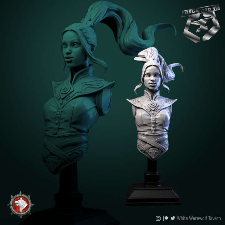 Air-Master-bust-75mm-figurines-fantasy-tabletop-RPG-3D-miniatures-white-werewolf-tavern