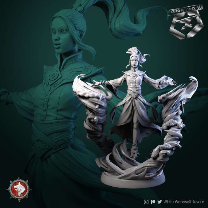 Air-Master-75mm-figurines-fantasy-tabletop-RPG-3D-miniatures-white-werewolf-tavern