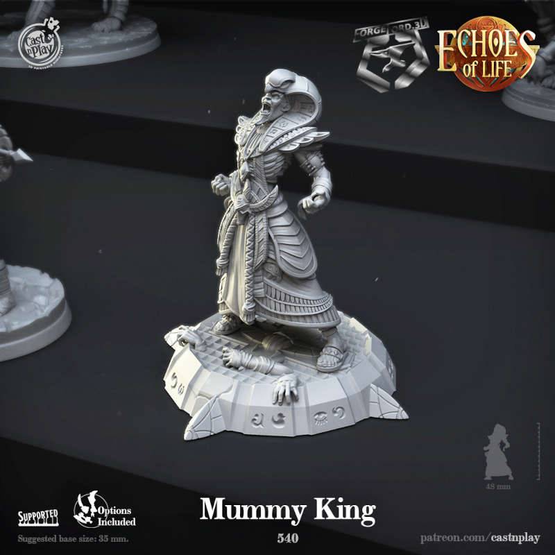 Mummy-King-CastNPlay-echoes-of-life-Collection--fantasy-tabletop-RPG-3D-miniatures