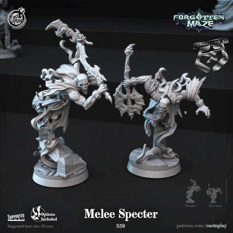 Melee-Specter-CastNPlay-forgotten-maze-Collection--fantasy-tabletop-RPG-3D-miniatures