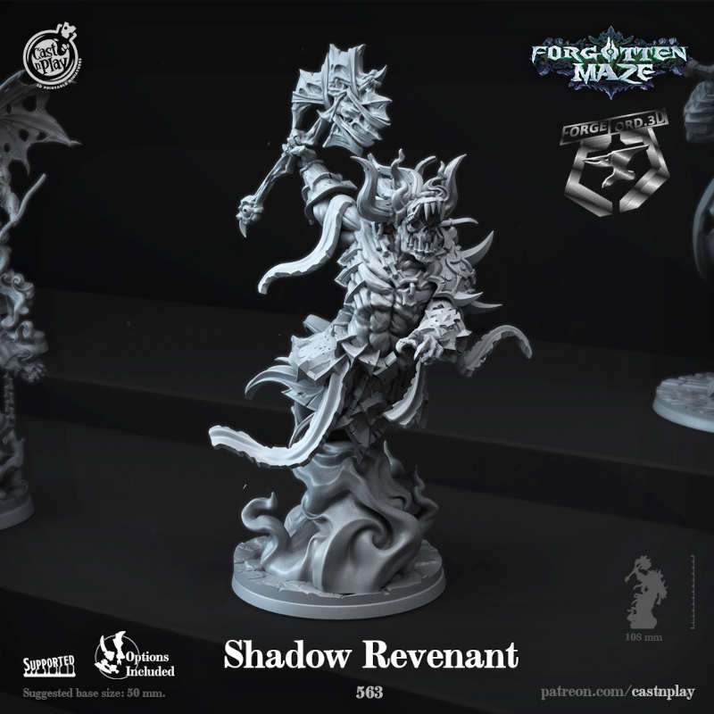 Shadow-Revenant-CastNPlay-forgotten-maze-Collection--fantasy-tabletop-RPG-3D-miniatures