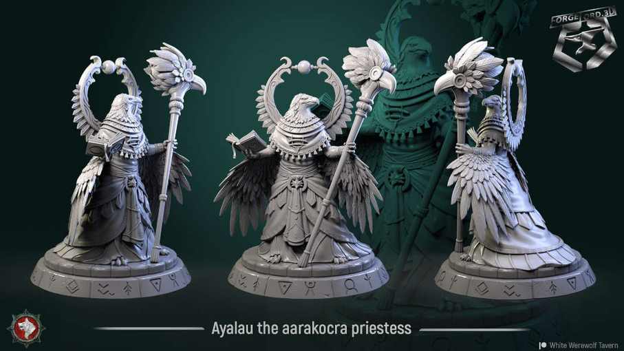 Ayalau-the-aarakocra-priestess-75mm-figurines-fantasy-tabletop-RPG-3D-miniatures-white-werewolf-tavern