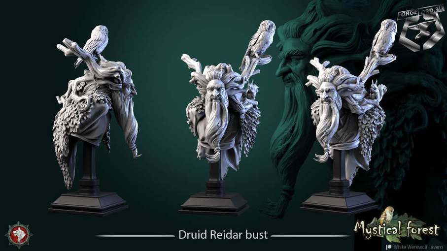 Druid-Reidar-bust-75mm-figurines-fantasy-tabletop-RPG-3D-miniatures-white-werewolf-tavern