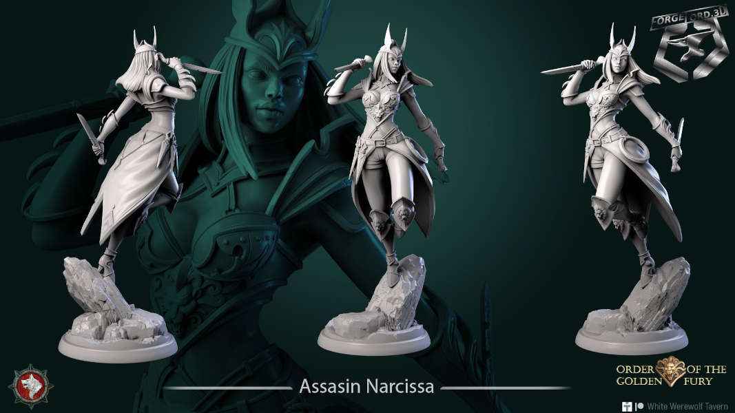 Assasin-Narcissa-statue-75mm-figurines-fantasy-tabletop-RPG-3D-miniatures-white-werewolf-tavern
