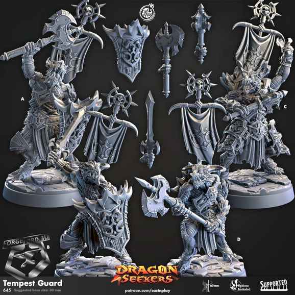 Tempest-Guard-CastNPlay-Dragon-seekers-Collection--fantasy-tabletop-RPG-3D-miniatures