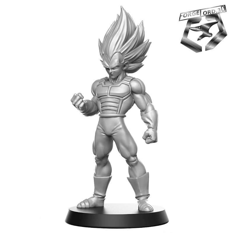 Vegeta-RN-Estudio--figurines-fantasy-tabletop-RPG-3D-miniatures