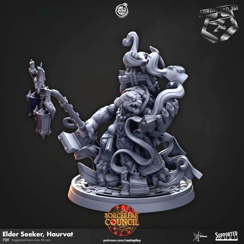 Elder Seeker, Haurvat-CastNPlay-sorcerer's-council-Collection--fantasy-tabletop-RPG-3D-miniatures