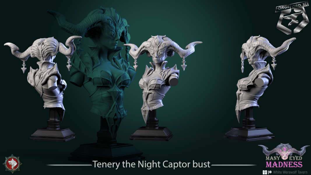 Tenery the Night Captor-bust-75mm-figurines-fantasy-tabletop-RPG-3D-miniatures-white-werewolf-tavern
