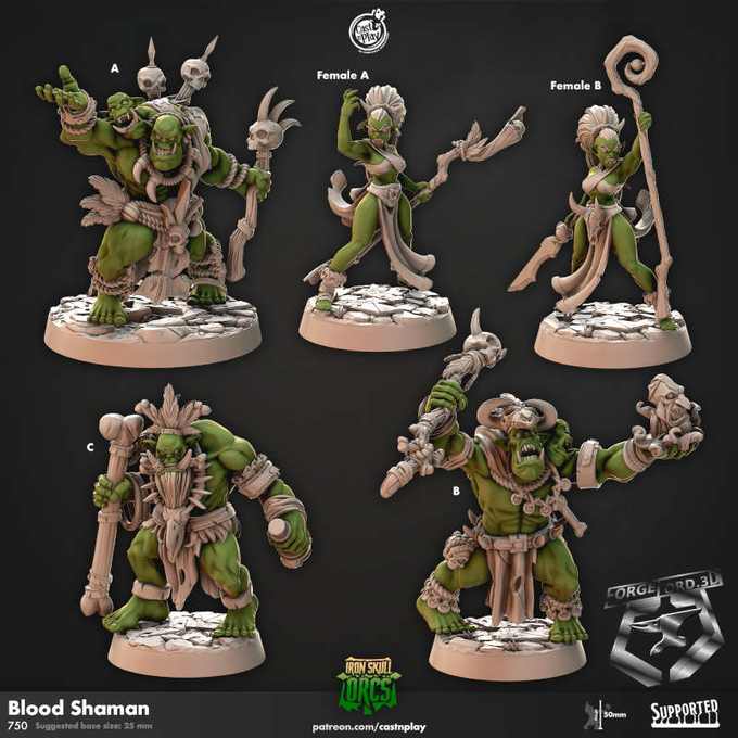 Blood Shaman-CastNPlay-iron-skull-orcs-Collection--fantasy-tabletop-RPG-3D-miniatures