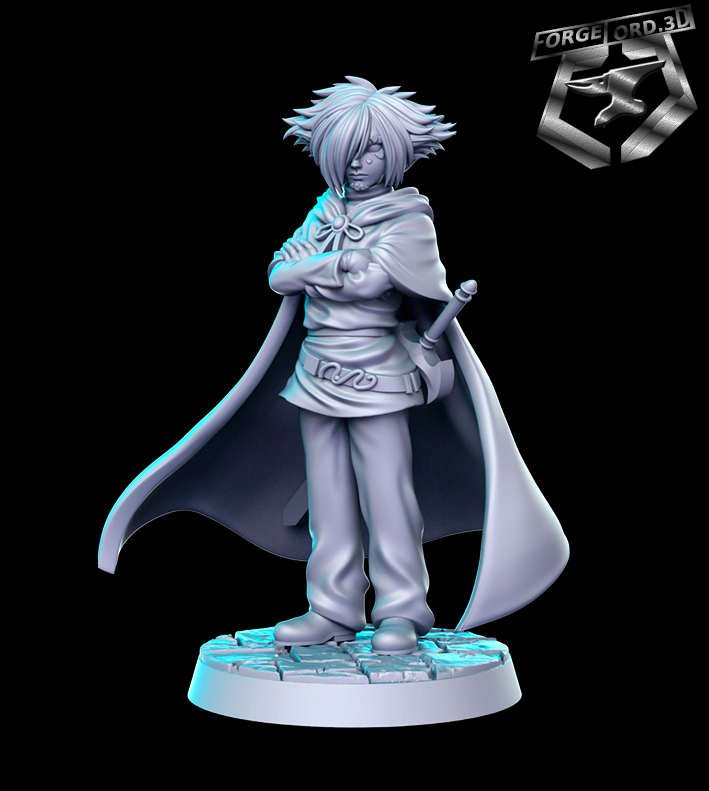 Zelgadis-RN-Estudio--figurines-fantasy-tabletop-RPG-3D-miniatures