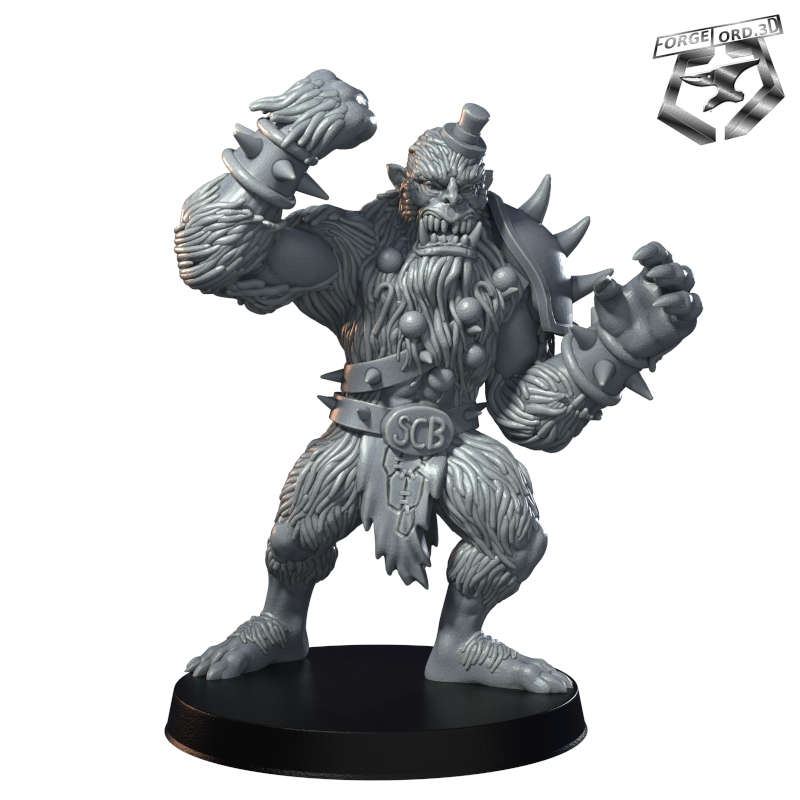 Frosty-RN-Estudio--figurines-fantasy-tabletop-RPG-3D-miniatures