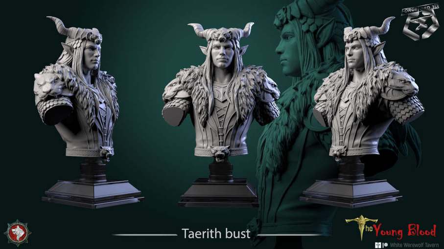 Taerith-bust-75mm-figurines-fantasy-tabletop-RPG-3D-miniatures-white-werewolf-tavern