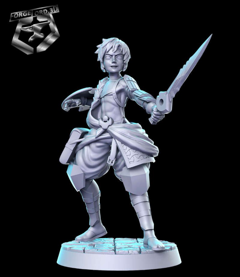 Swordman-RN-Estudio--figurines-fantasy-tabletop-RPG-3D-miniatures
