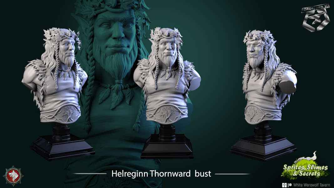 Helreginn Thornward-bust-75mm-figurines-fantasy-tabletop-RPG-3D-miniatures-white-werewolf-tavern