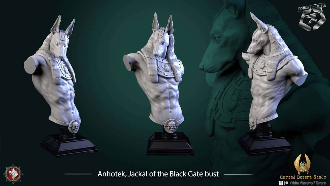 Anhotek, Jackal of the Black Gate-bust-75mm-figurines-fantasy-tabletop-RPG-3D-miniatures-white-werewolf-tavern