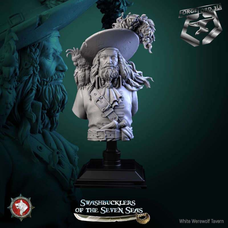 Captain Aurelius Drake-bust-75mm-figurines-fantasy-tabletop-RPG-3D-miniatures-white-werewolf-tavern